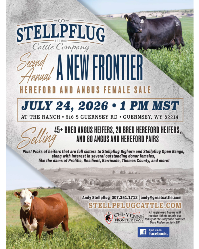 Stellpflug Cattle Company