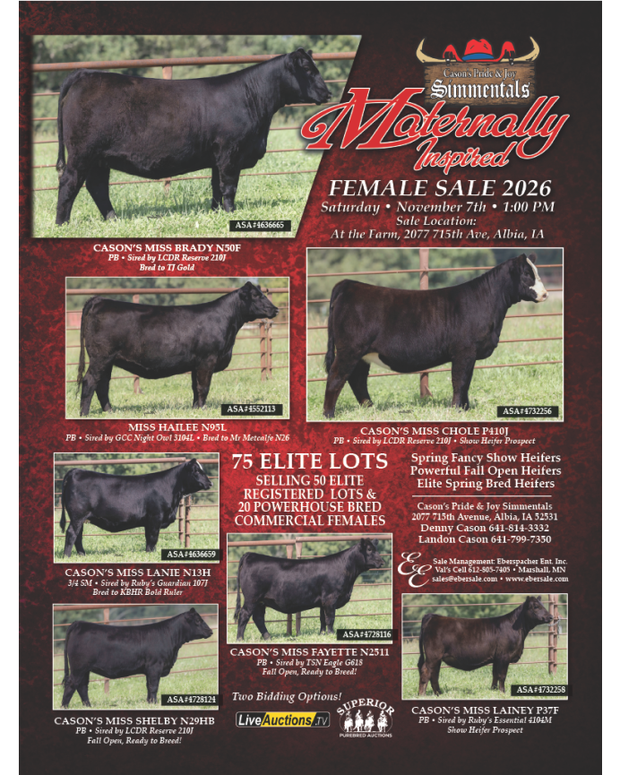 Cason's Pride & Joy Simmentals