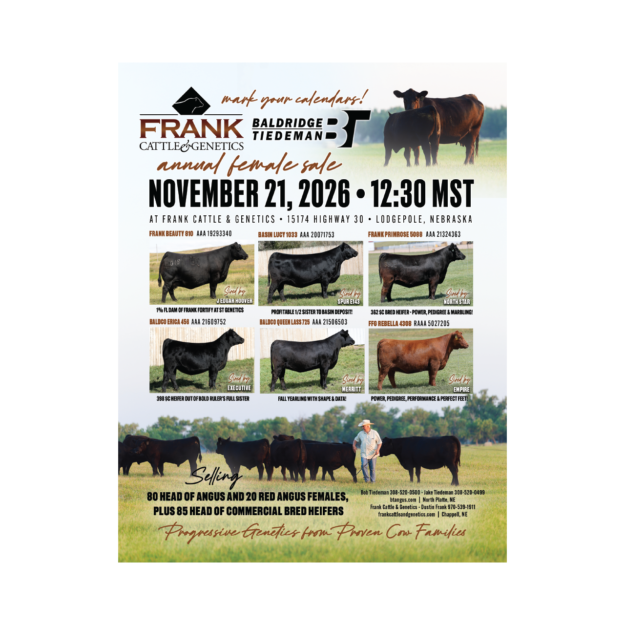 Baldridge Tiedeman Frank Cattle Annual Female Sale - Livestock Digital