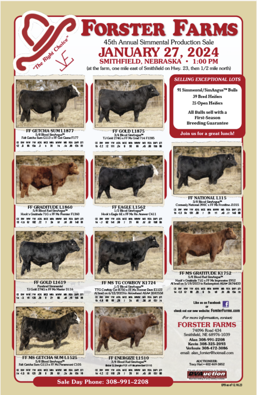 Forster Farms Production Sale