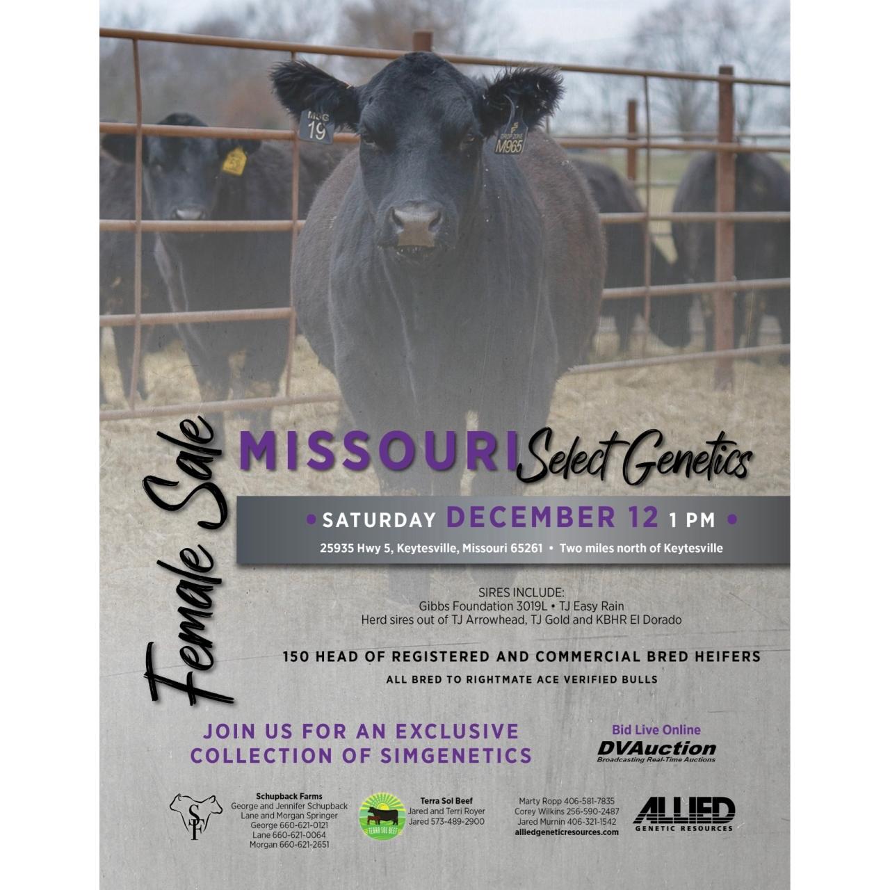 Missouri Select Genetics Female Sale