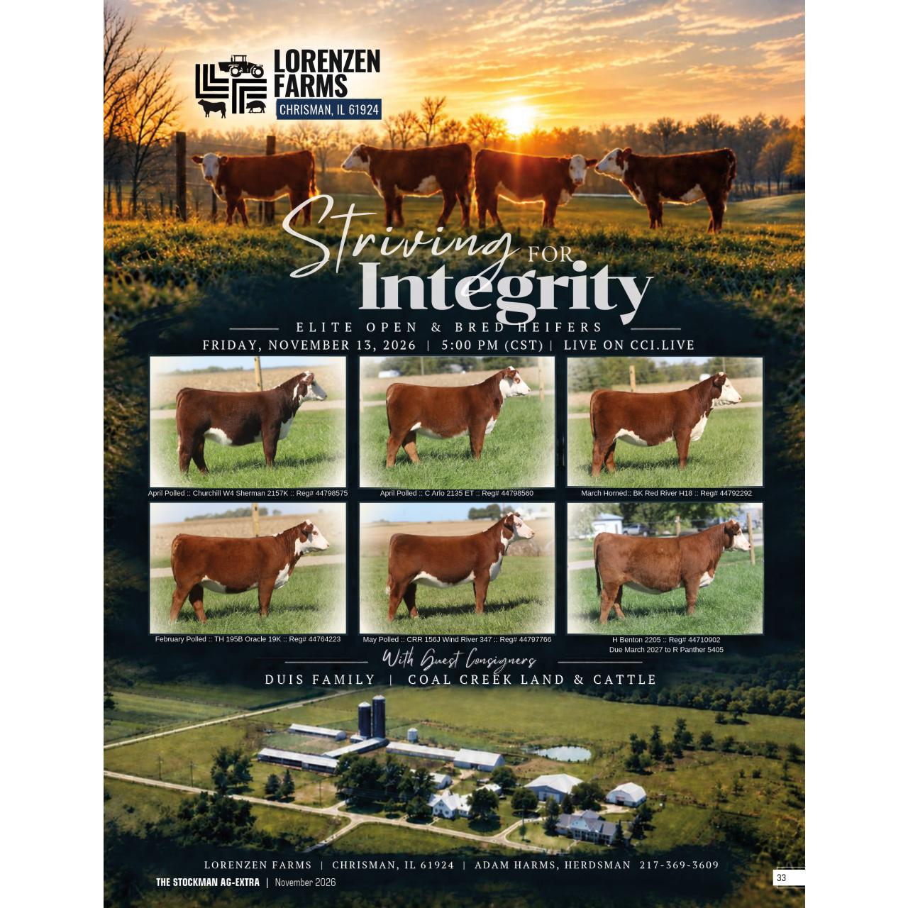 Lorenzen Farms 2026 Female Sale - Livestock Digital