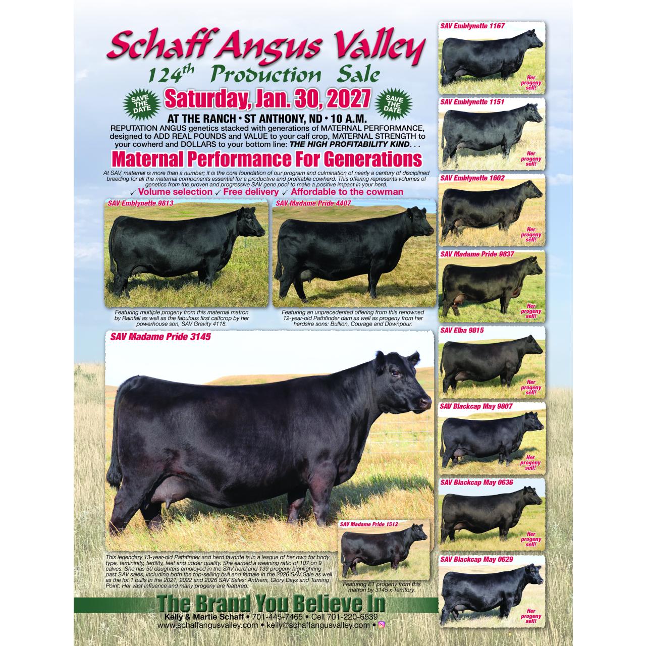 Schaff Angus Valley Production Sale