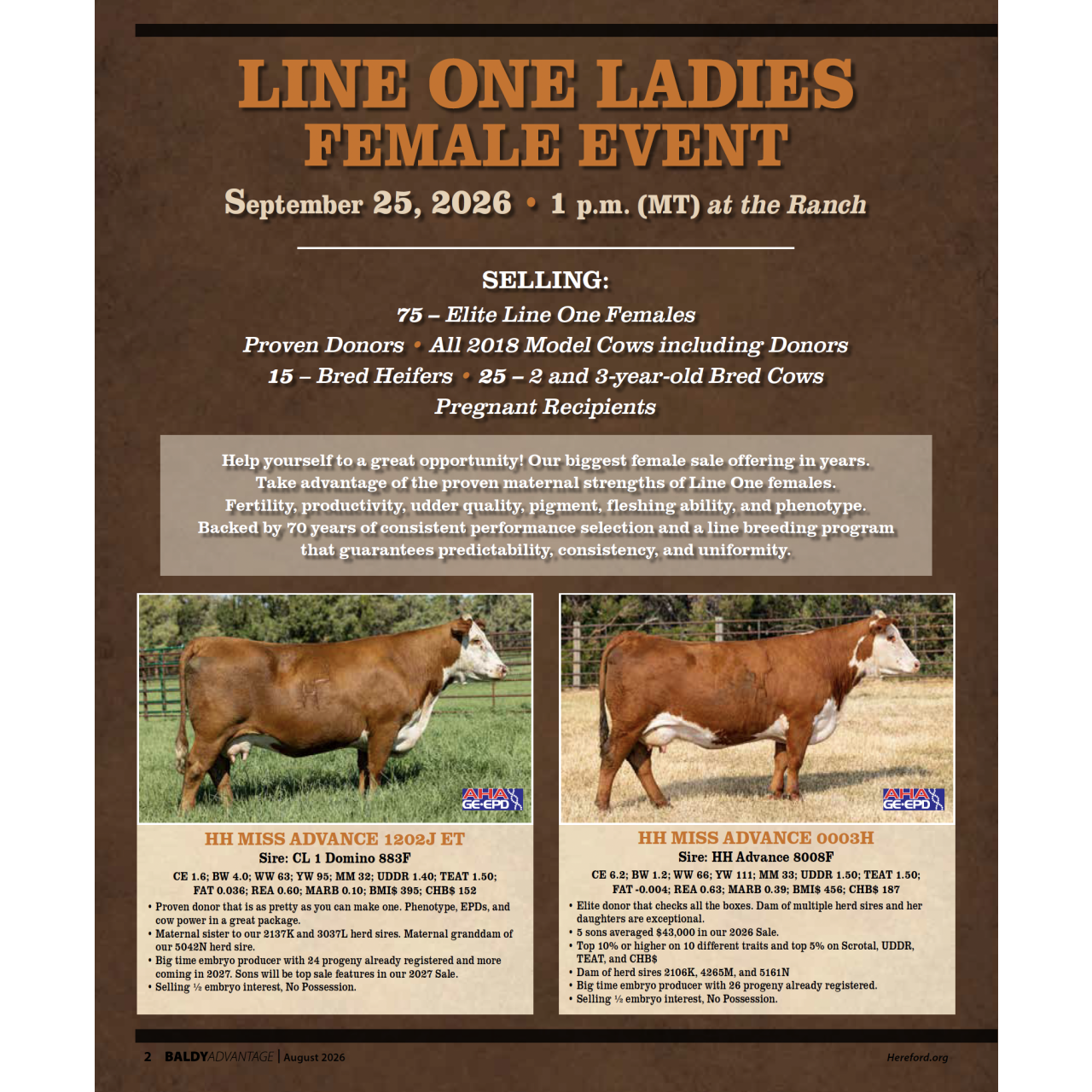 Holden Herefords