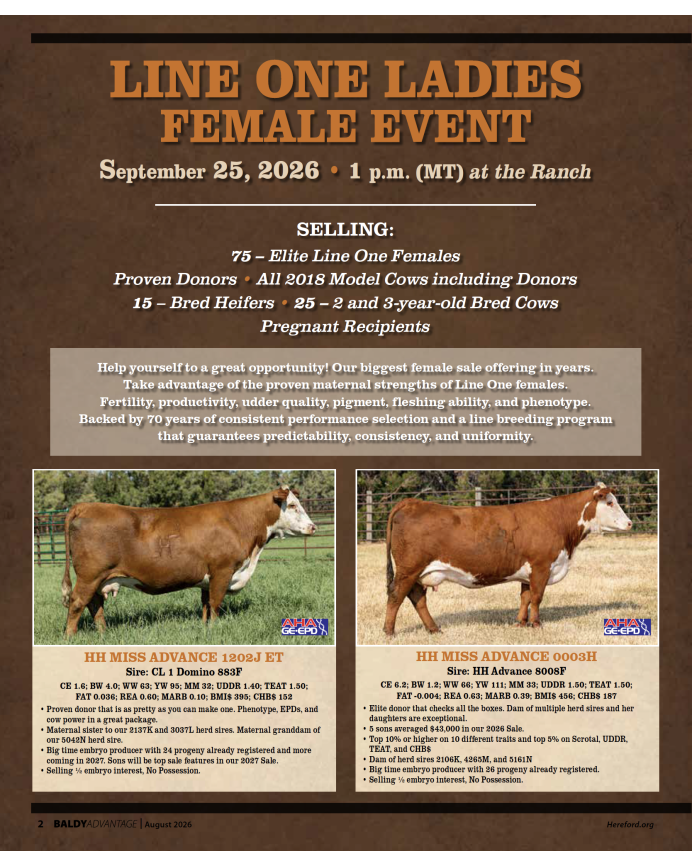 Holden Herefords