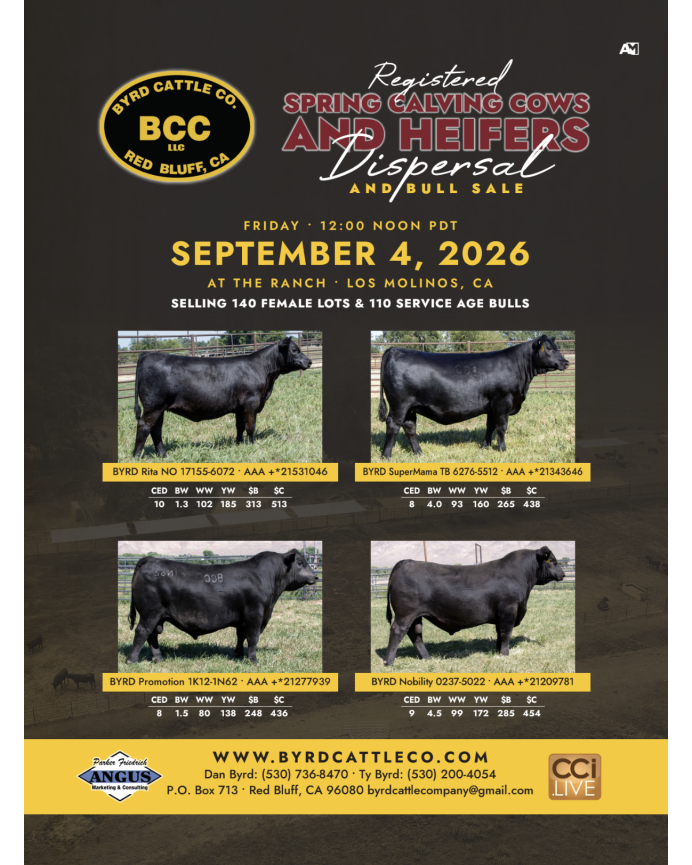 Byrd Cattle Company