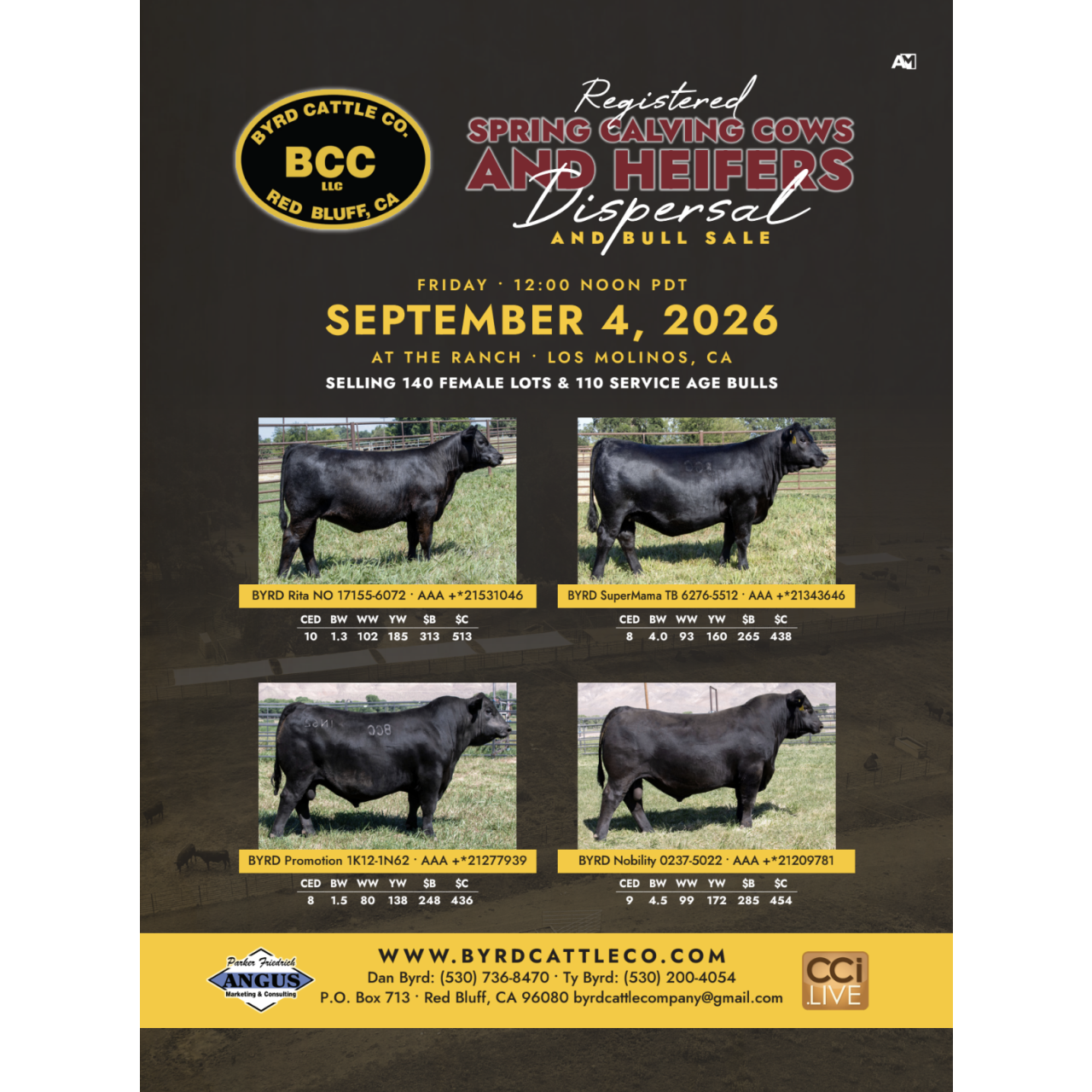 Byrd Cattle Co. Bull and Female Sale