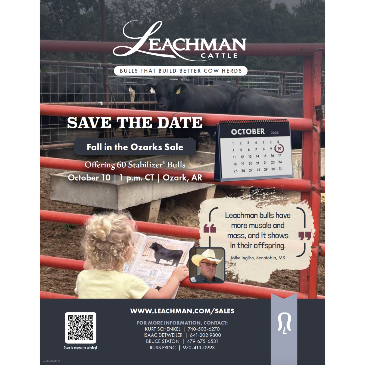 Leachman Cattle Fall in the Ozark Sale