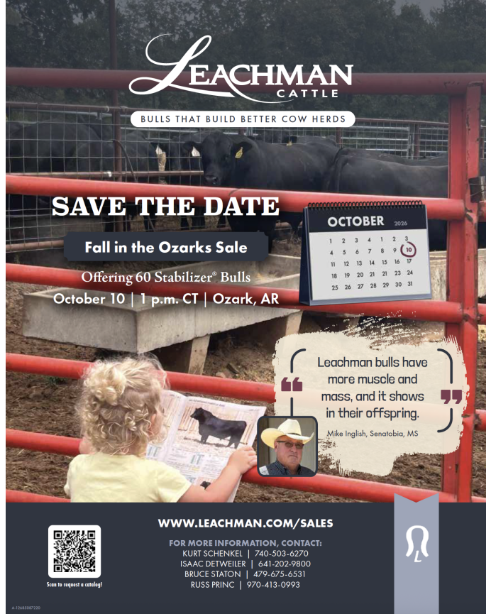 Leachman Cattle Fall in the Ozarks