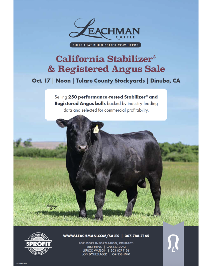 Leachman Cattle California Stabilizer & Angus Sale