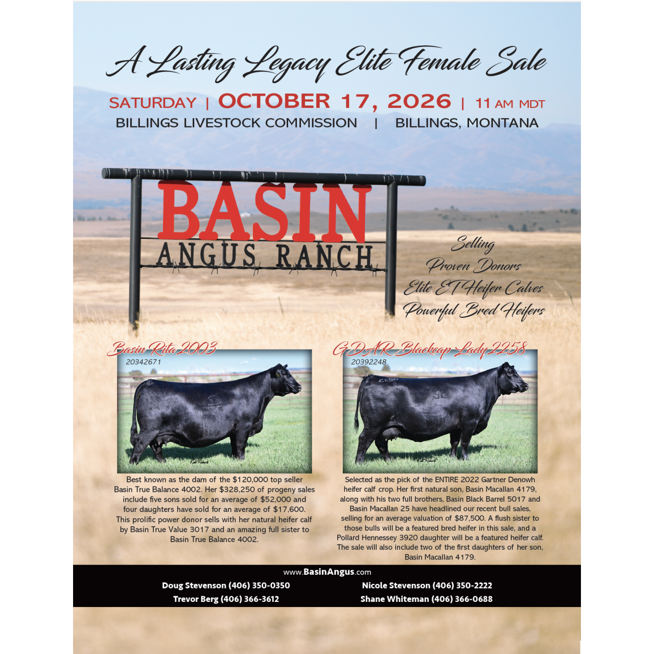 Basin Angus Ranch Female Sale