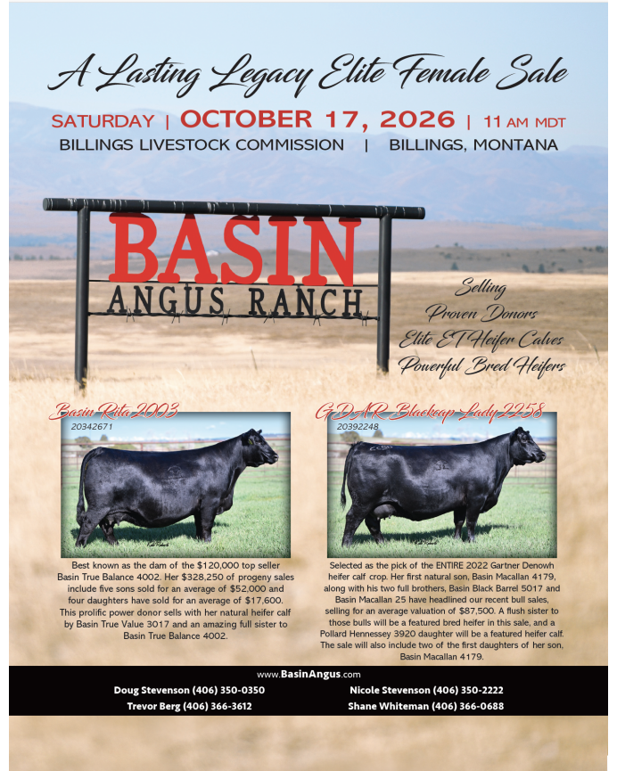 Basin Angus Ranch