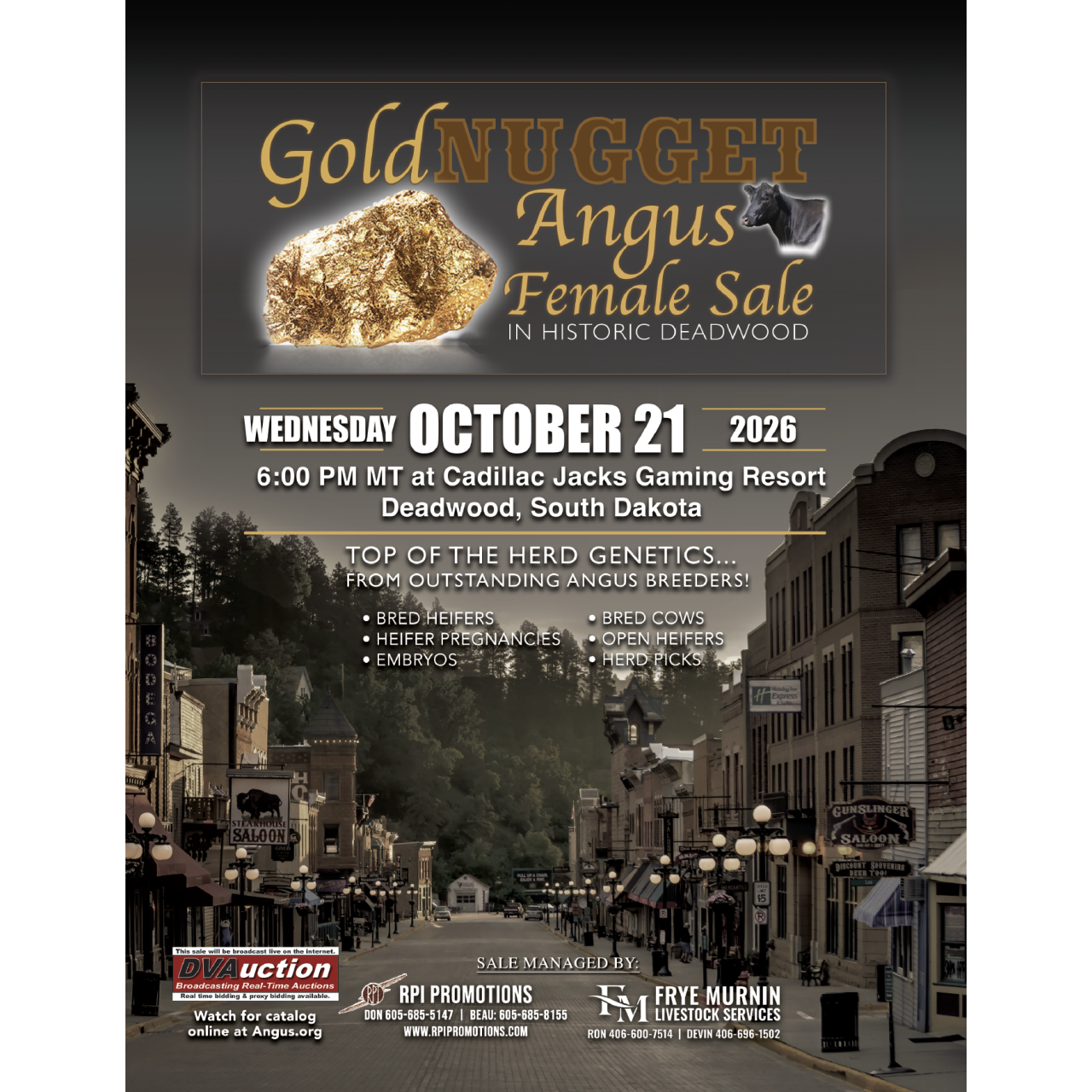 Gold Nugget Angus Female Sale