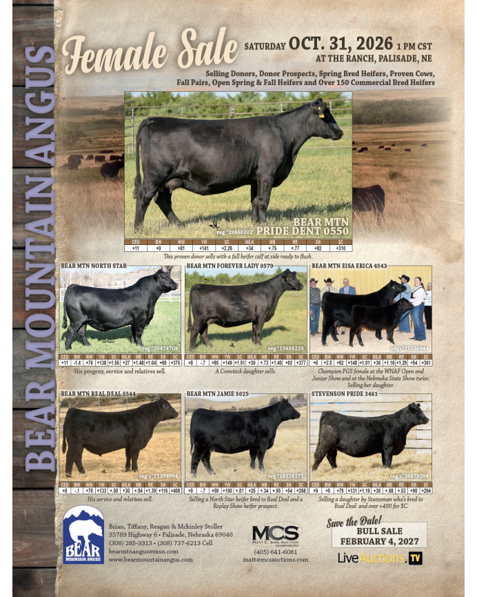 Bear Mountain Angus