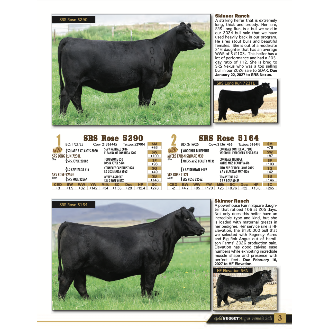 Skinner Ranch Seedstock Production Sale