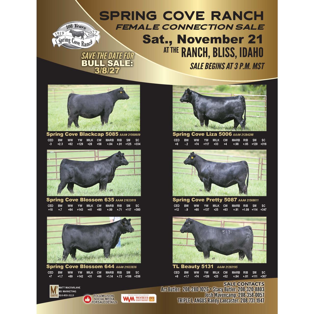 Spring Cove Ranch Genetics Bull Sale