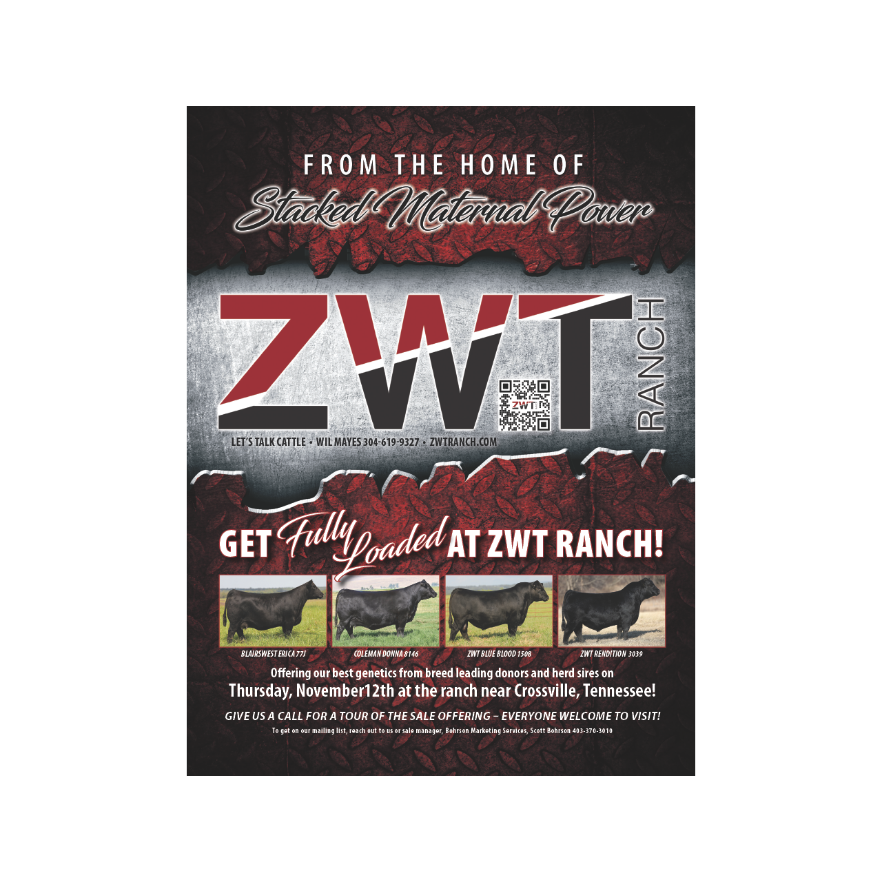 ZWT Fully Loaded Angus Bull & Female Sale